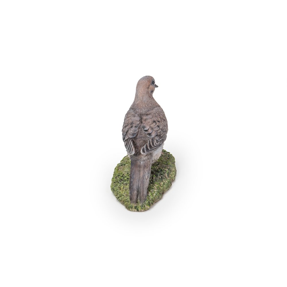 Mourning Dove On Grass Garden Statue. Picture 1