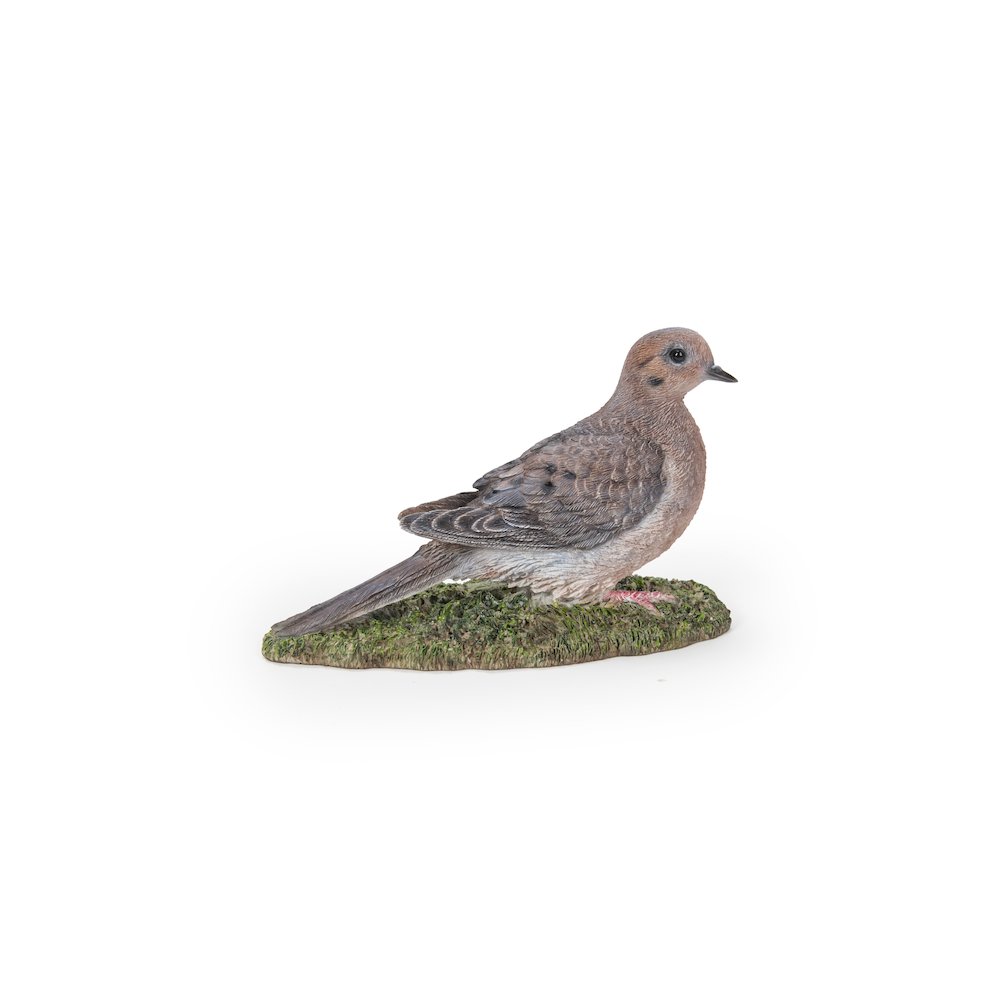 Mourning Dove On Grass Garden Statue. Picture 2