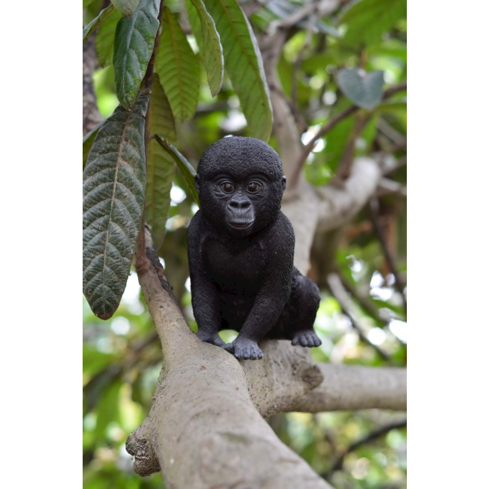 Gorilla Baby. Picture 4