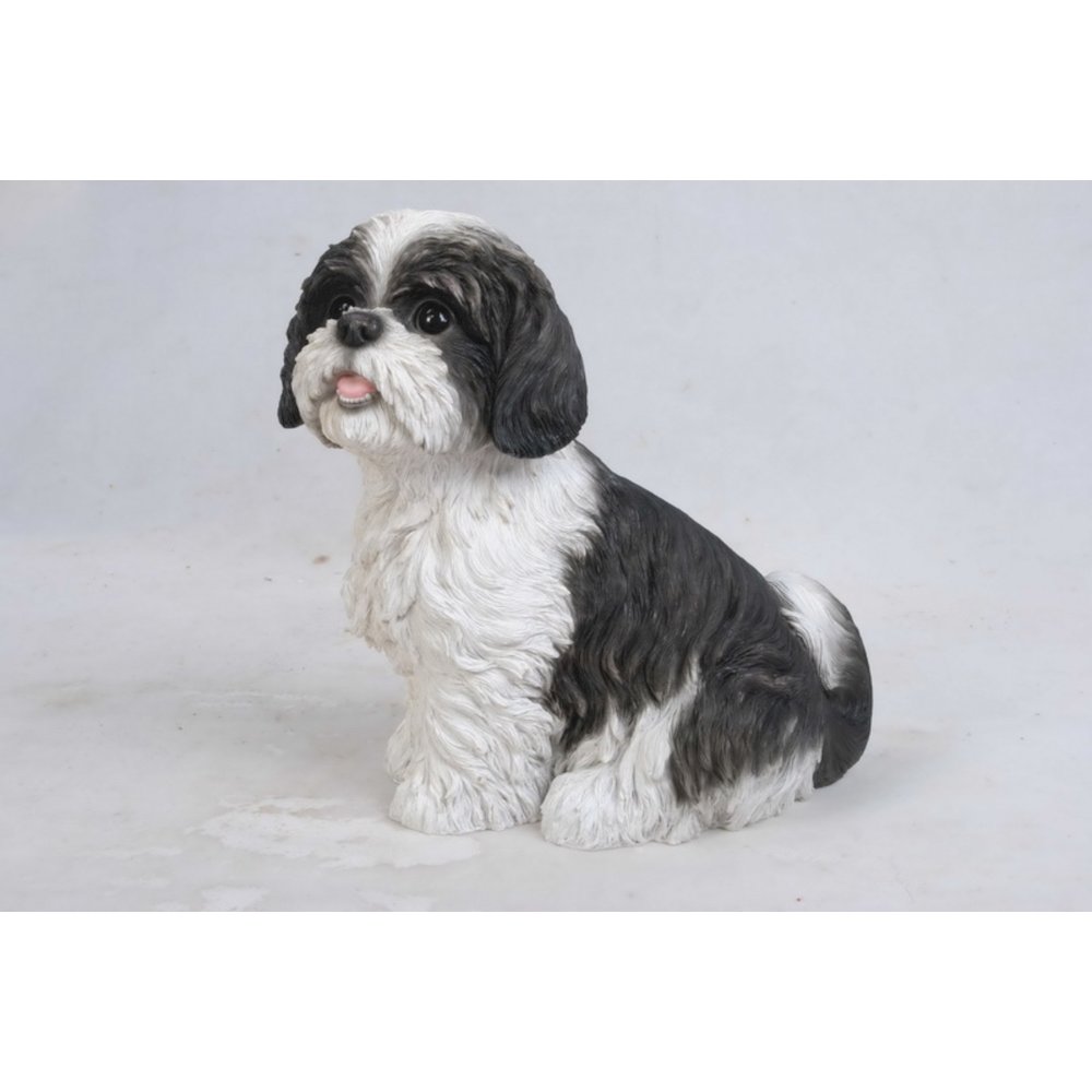 Sitting Shih Tzu. Picture 2