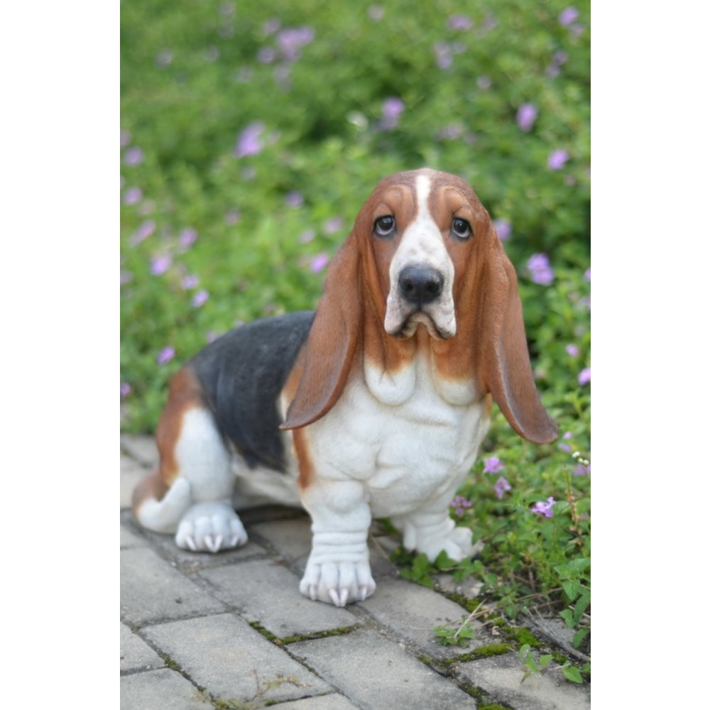 Large Basset Hound Statue. Picture 5