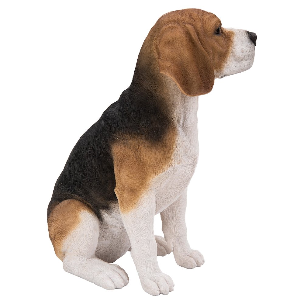 Beagle Dog Sitting. Picture 3