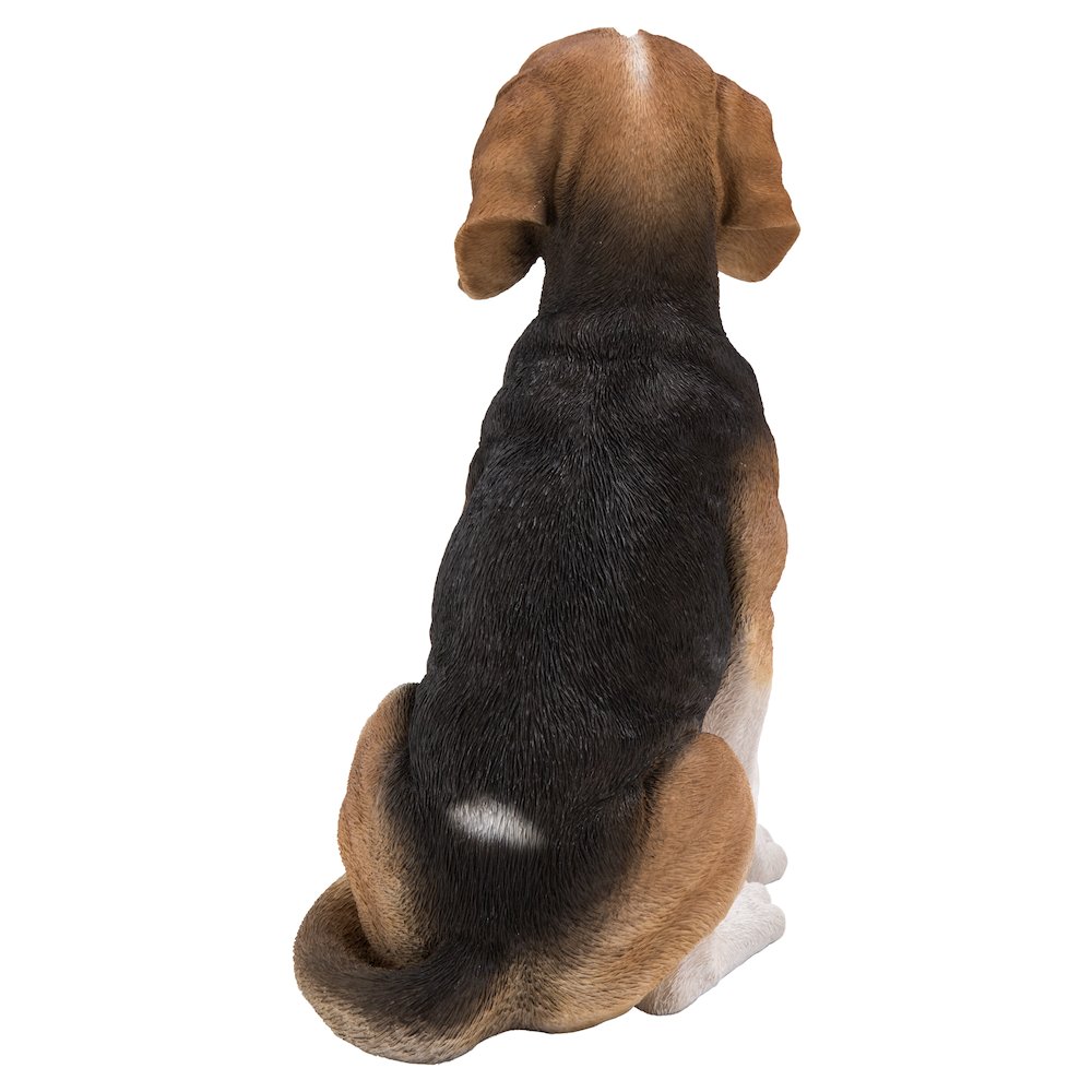 Beagle Dog Sitting. Picture 5