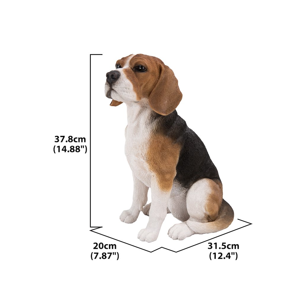 Beagle Dog Sitting. Picture 2
