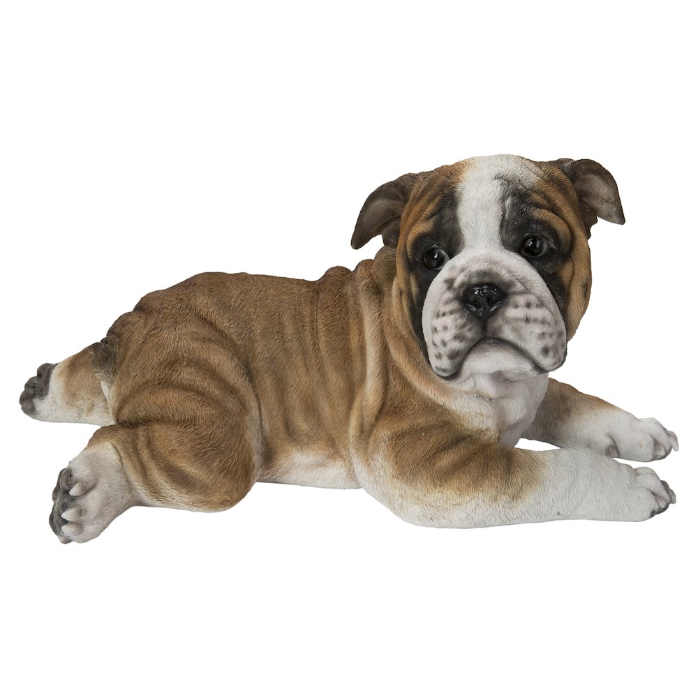 Lying Bulldog Pup. Picture 2