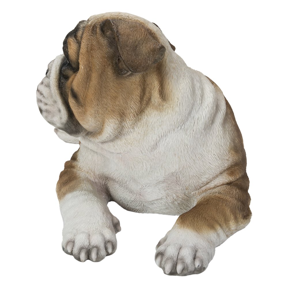 Lying Bulldog Pup. Picture 1