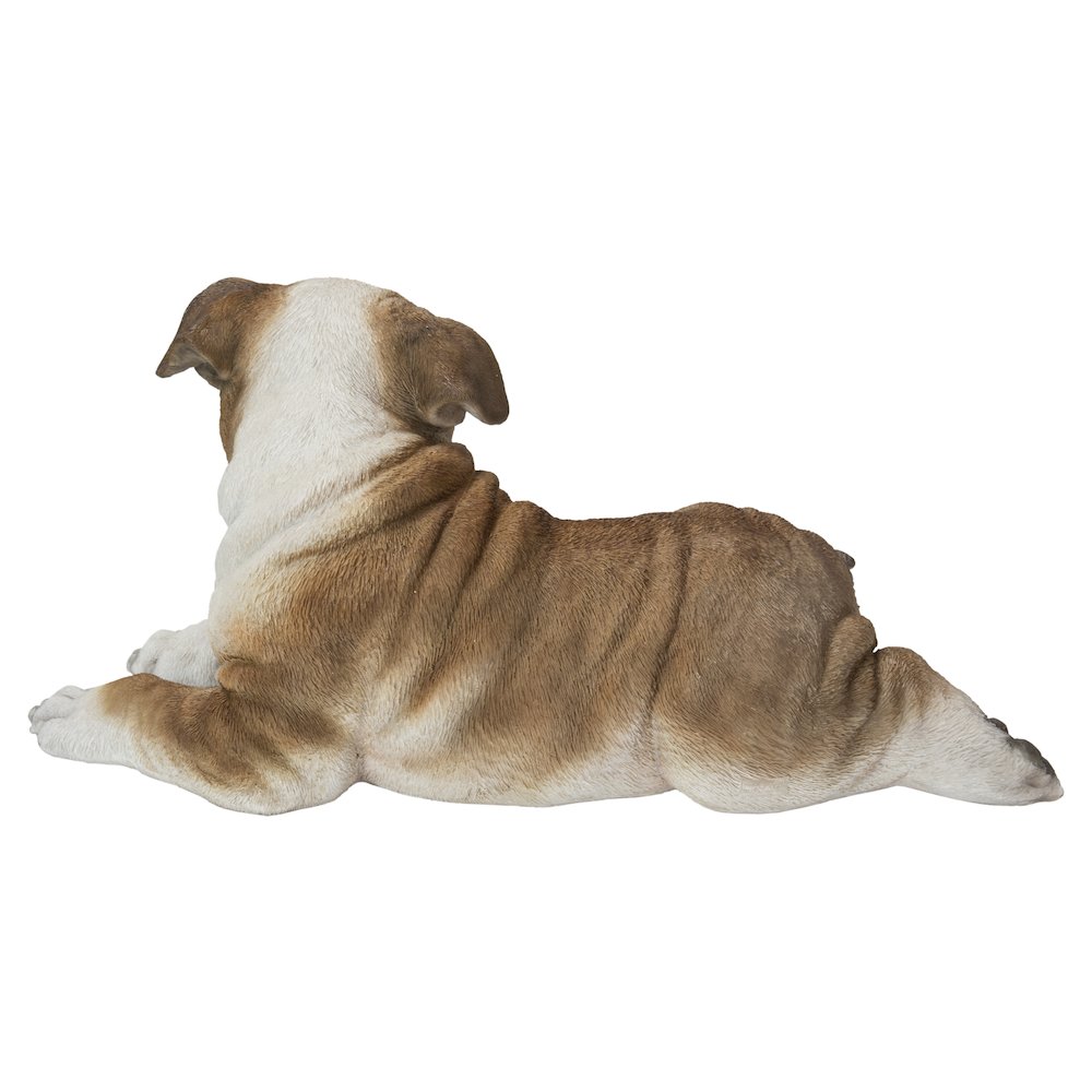 Lying Bulldog Pup. Picture 4