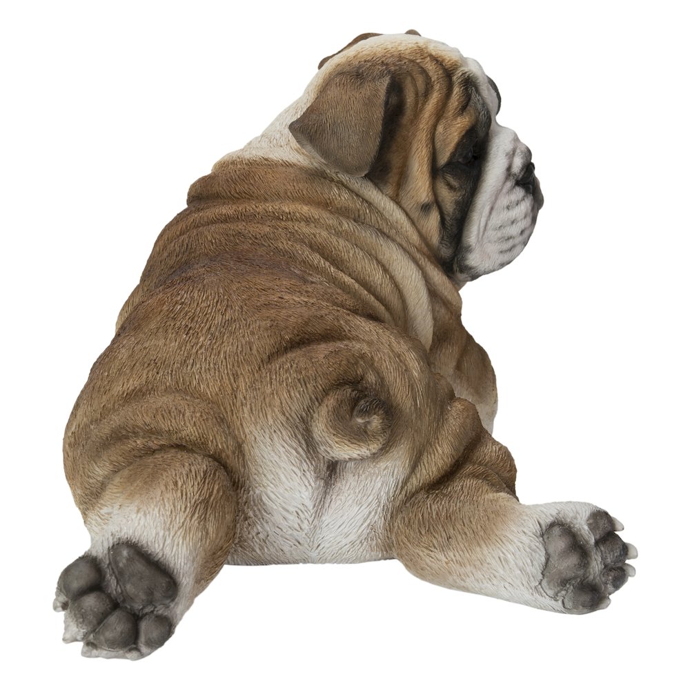 Lying Bulldog Pup. Picture 3