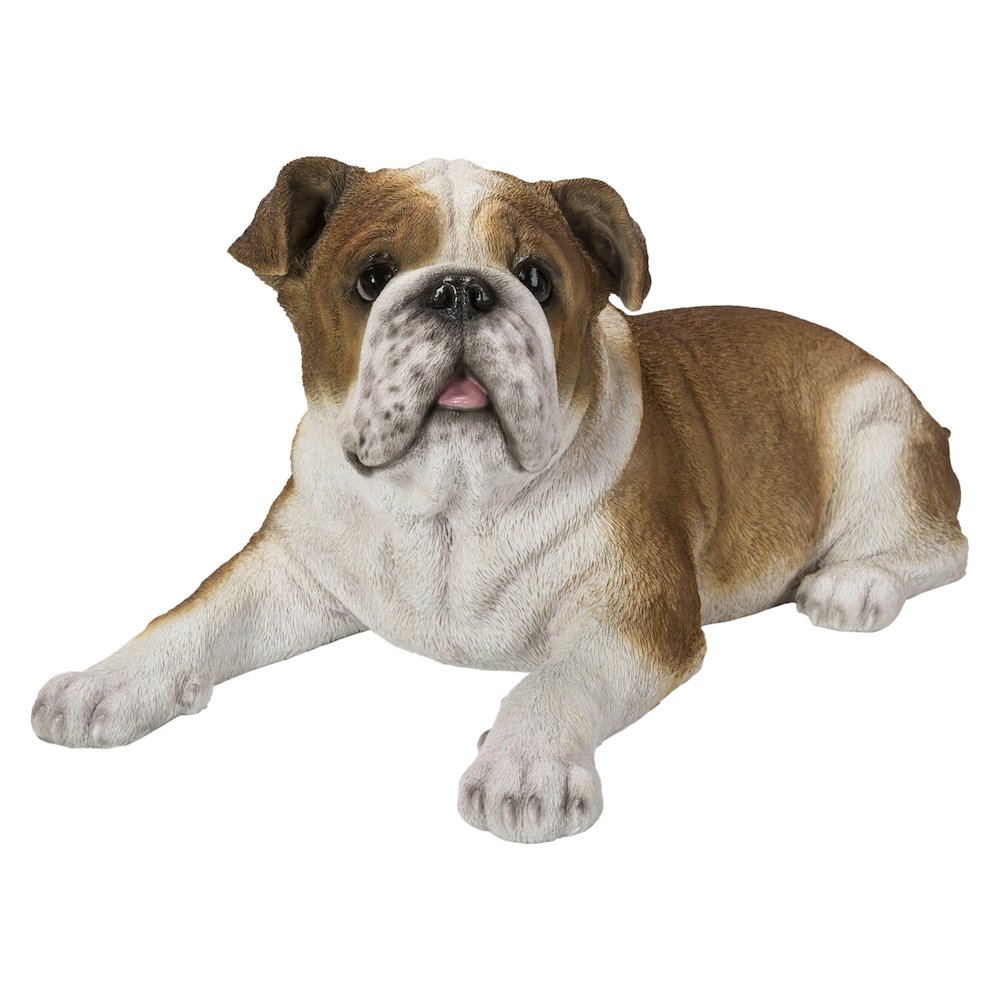 Lying Bulldog. Picture 2