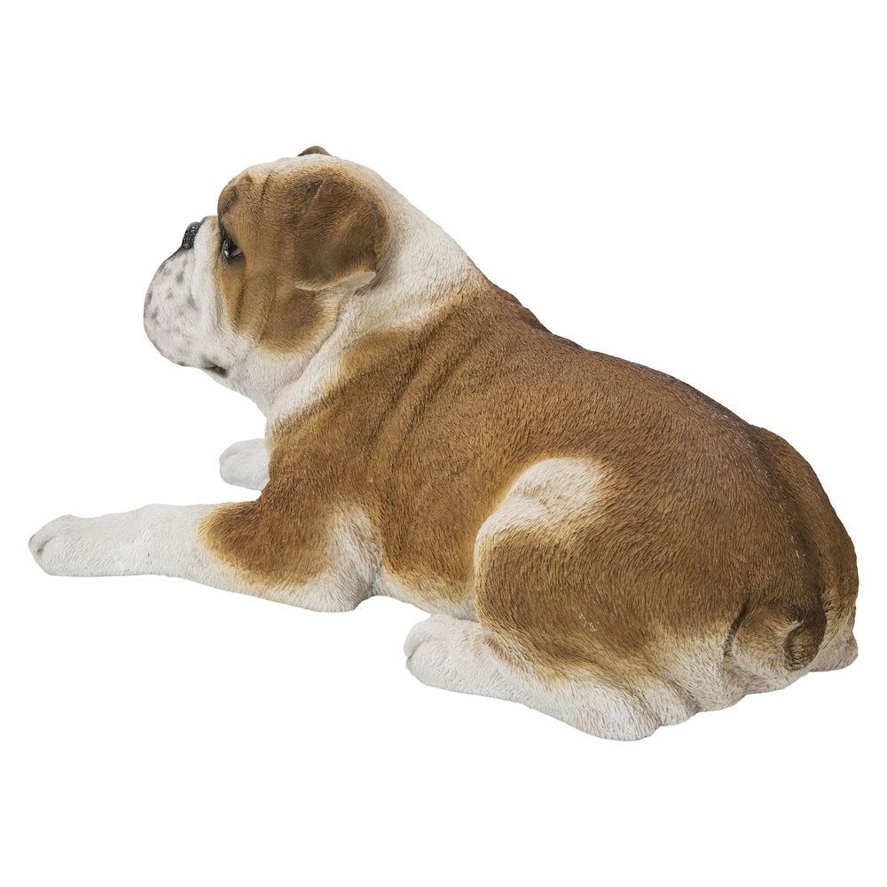 Lying Bulldog. Picture 3