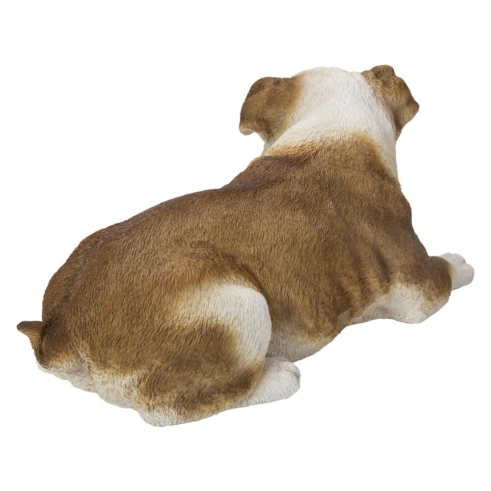 Lying Bulldog. Picture 4