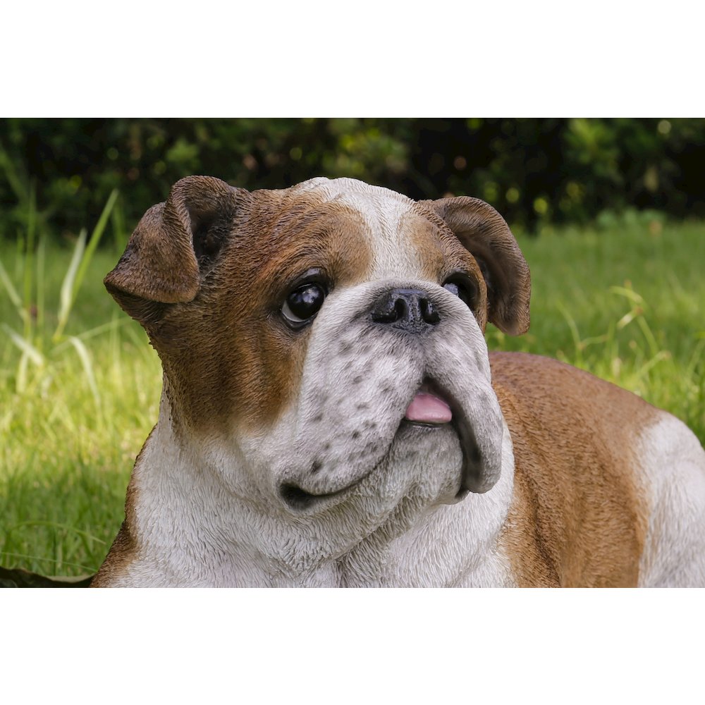 Lying Bulldog. Picture 6