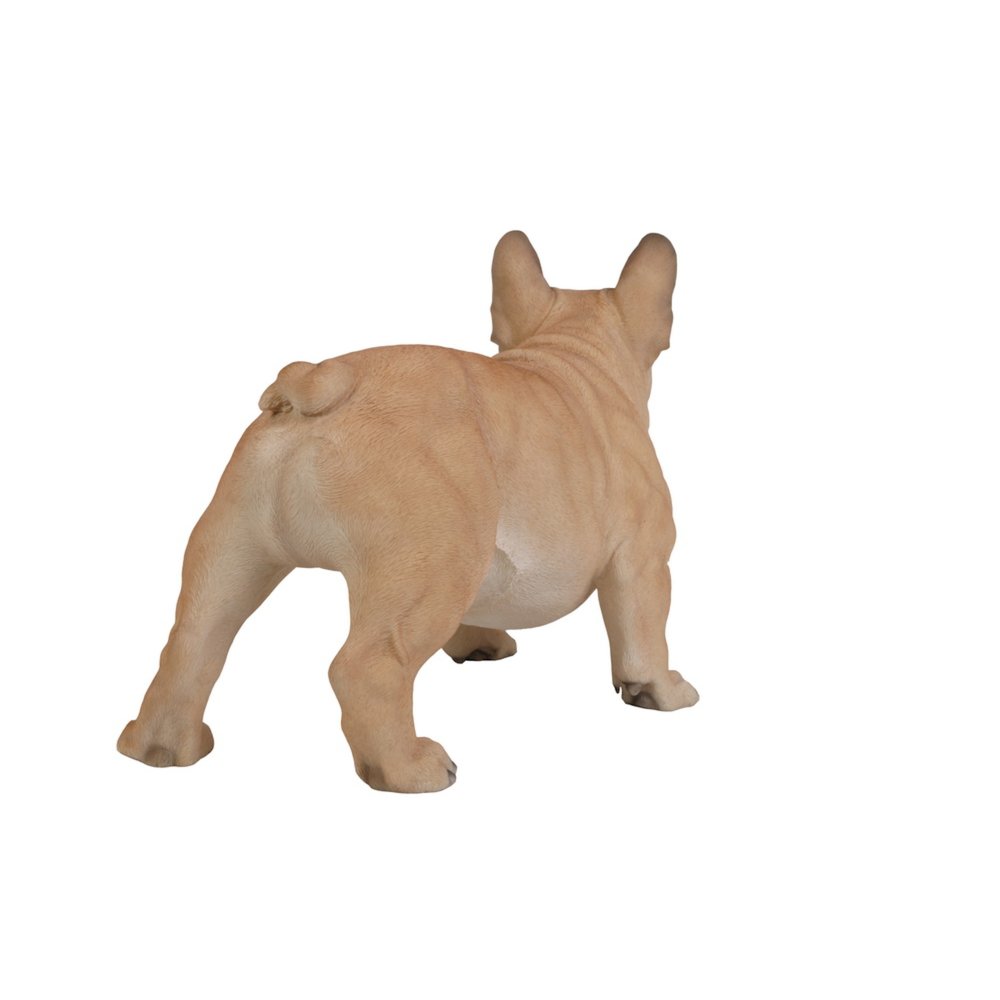Large French Bull. Picture 1