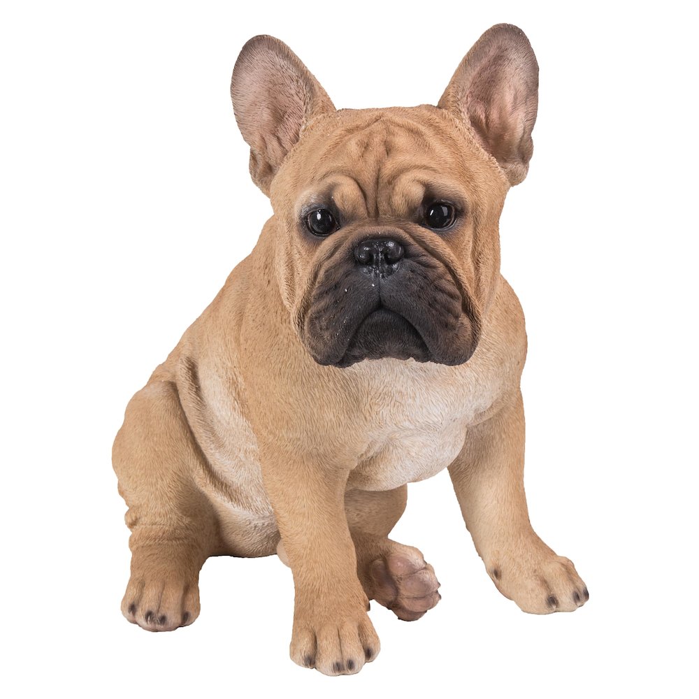 French Bulldog Squatting Statue. Picture 2