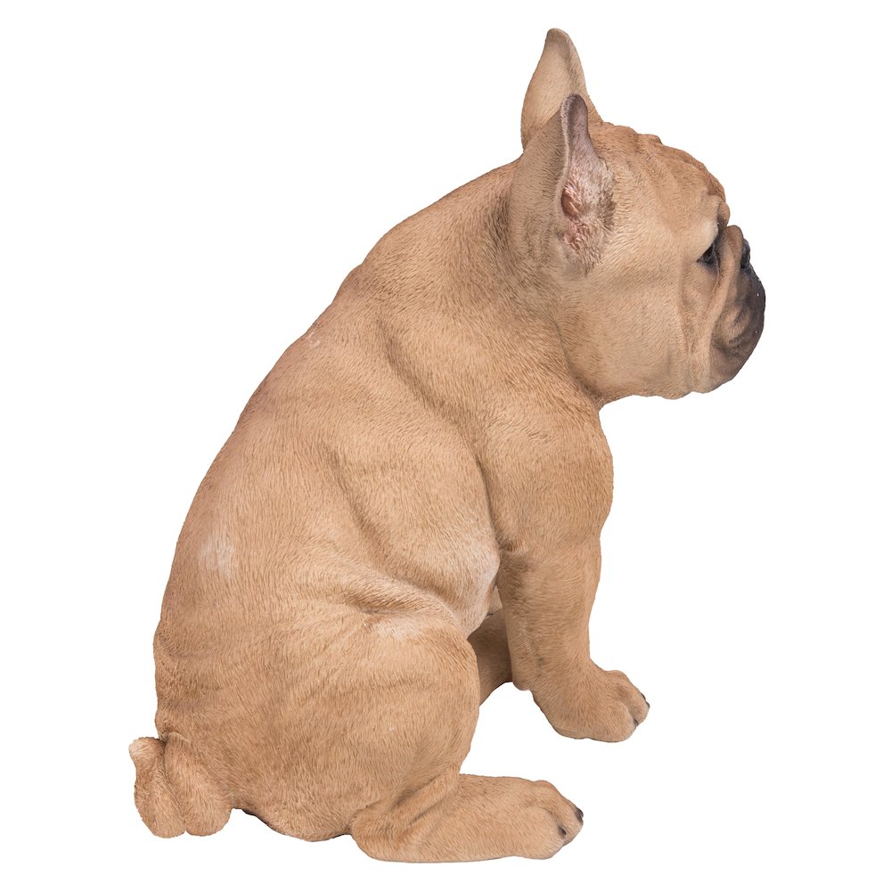 French Bulldog Squatting Statue. Picture 5