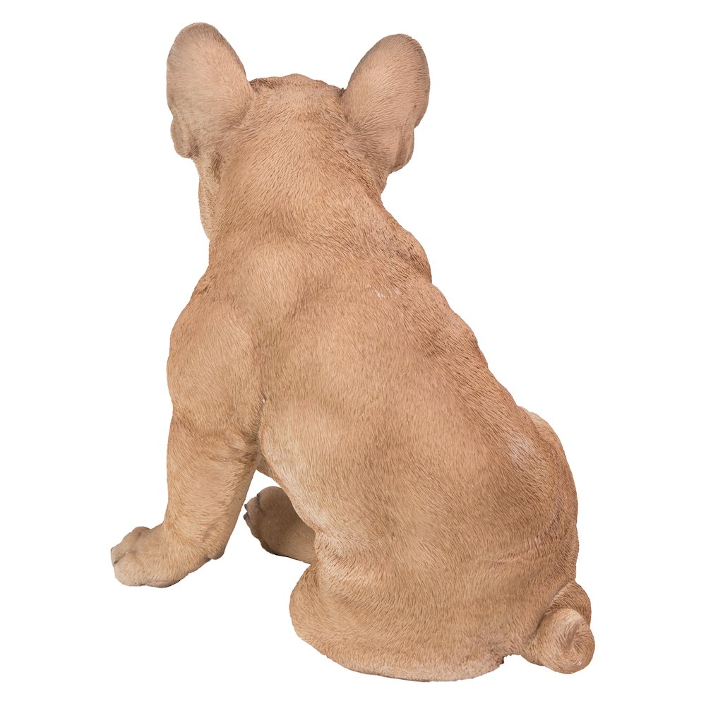 French Bulldog Squatting Statue. Picture 4