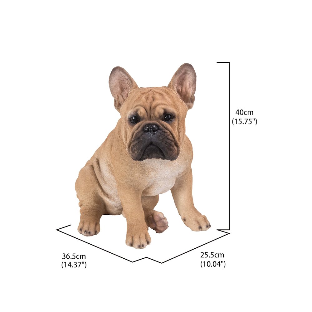 French Bulldog Squatting Statue. Picture 3