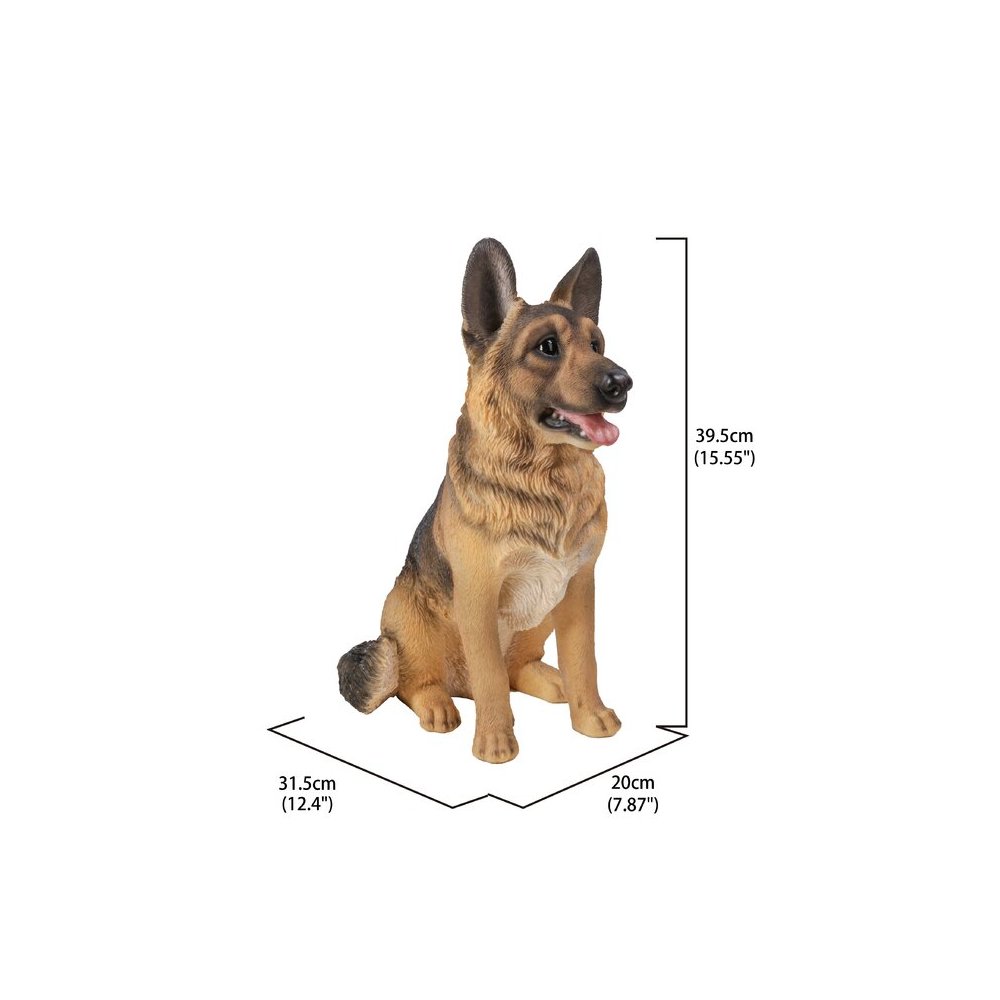 Large Sitting German Shepherd. Picture 3