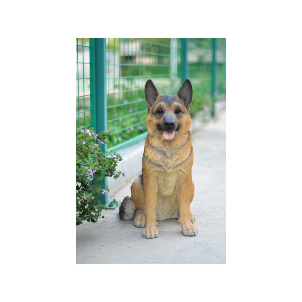 Large Sitting German Shepherd. Picture 4