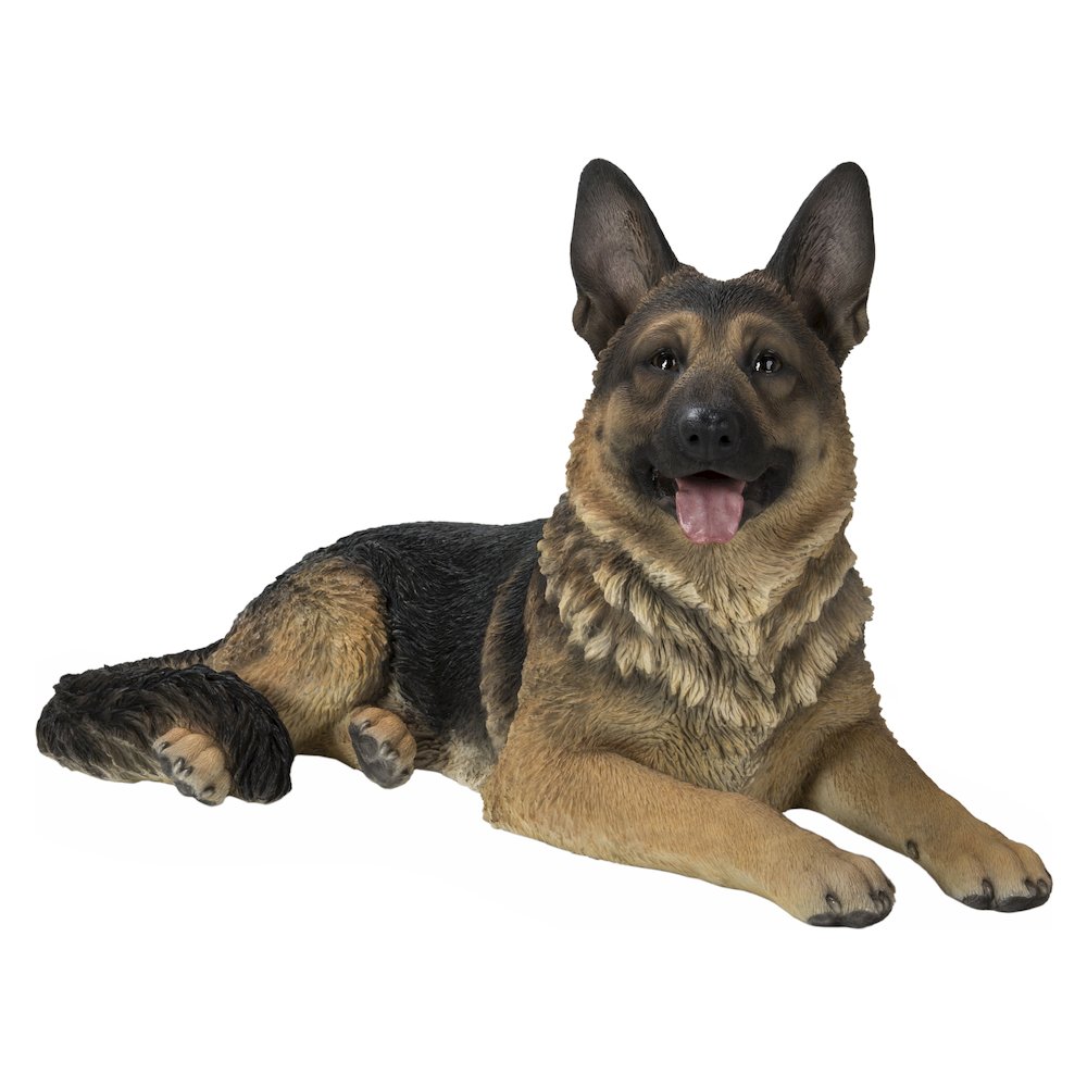 Lying German Shepherd. Picture 2