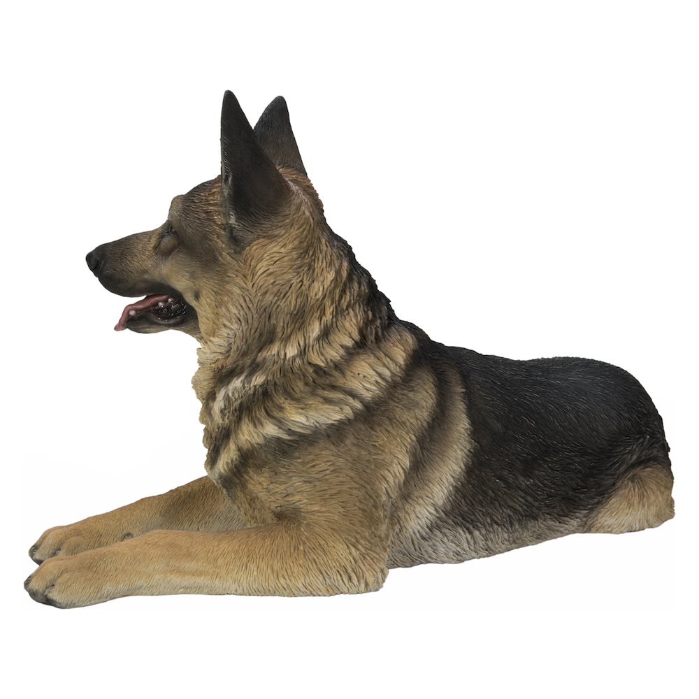 Lying German Shepherd. Picture 1