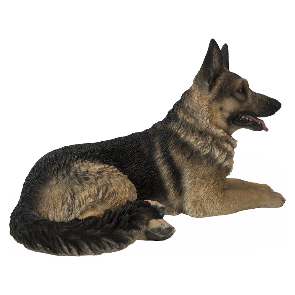 Lying German Shepherd. Picture 3