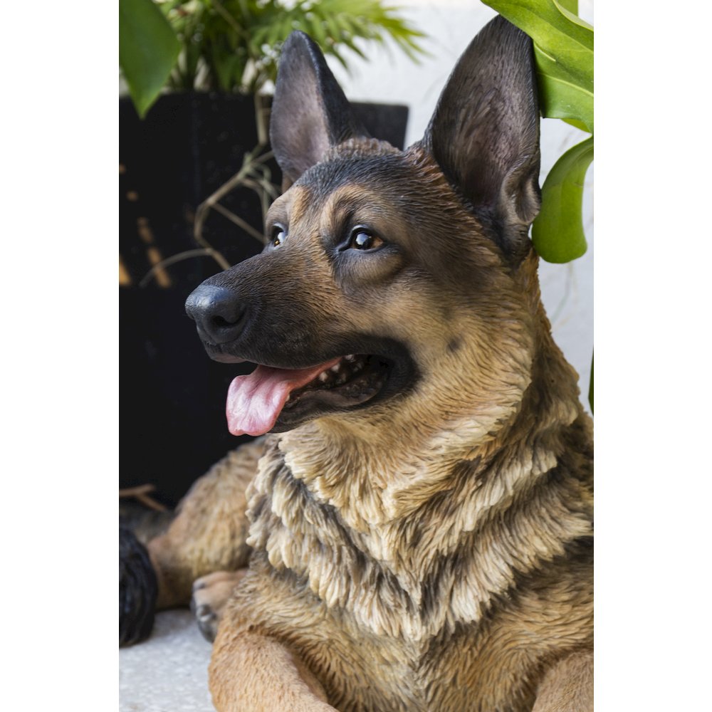 Lying German Shepherd. Picture 6