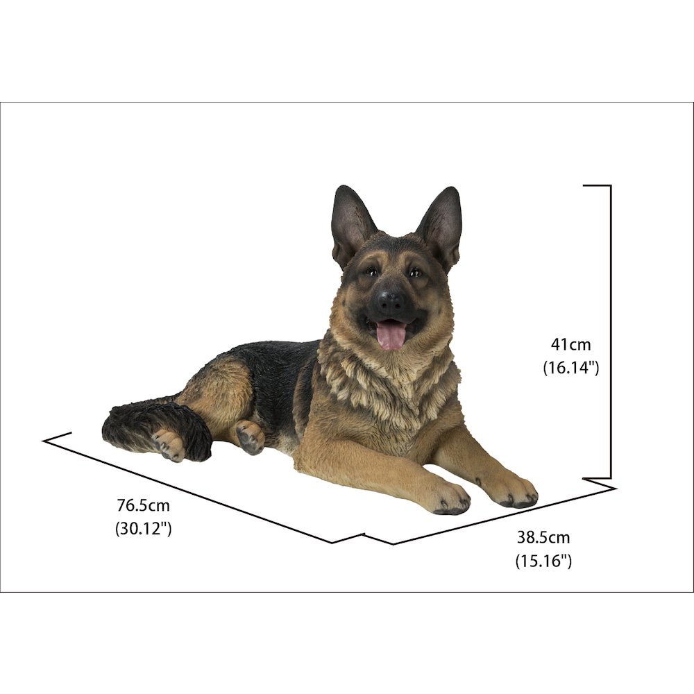 Lying German Shepherd. Picture 5