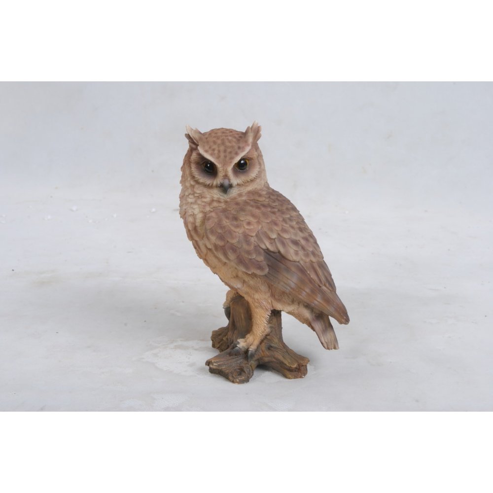 Small Screech Owl On Stump. Picture 1