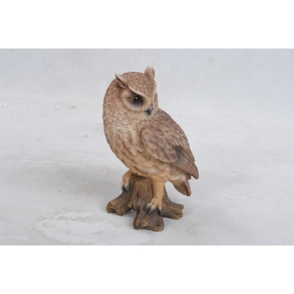Small Screech Owl On Stump. Picture 3