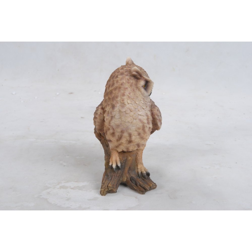 Small Screech Owl On Stump. Picture 5