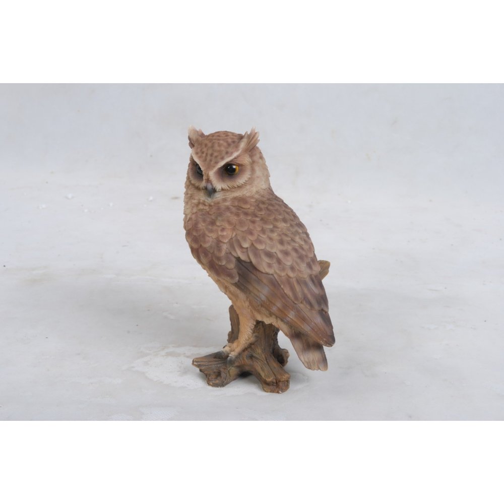 Small Screech Owl On Stump. Picture 4