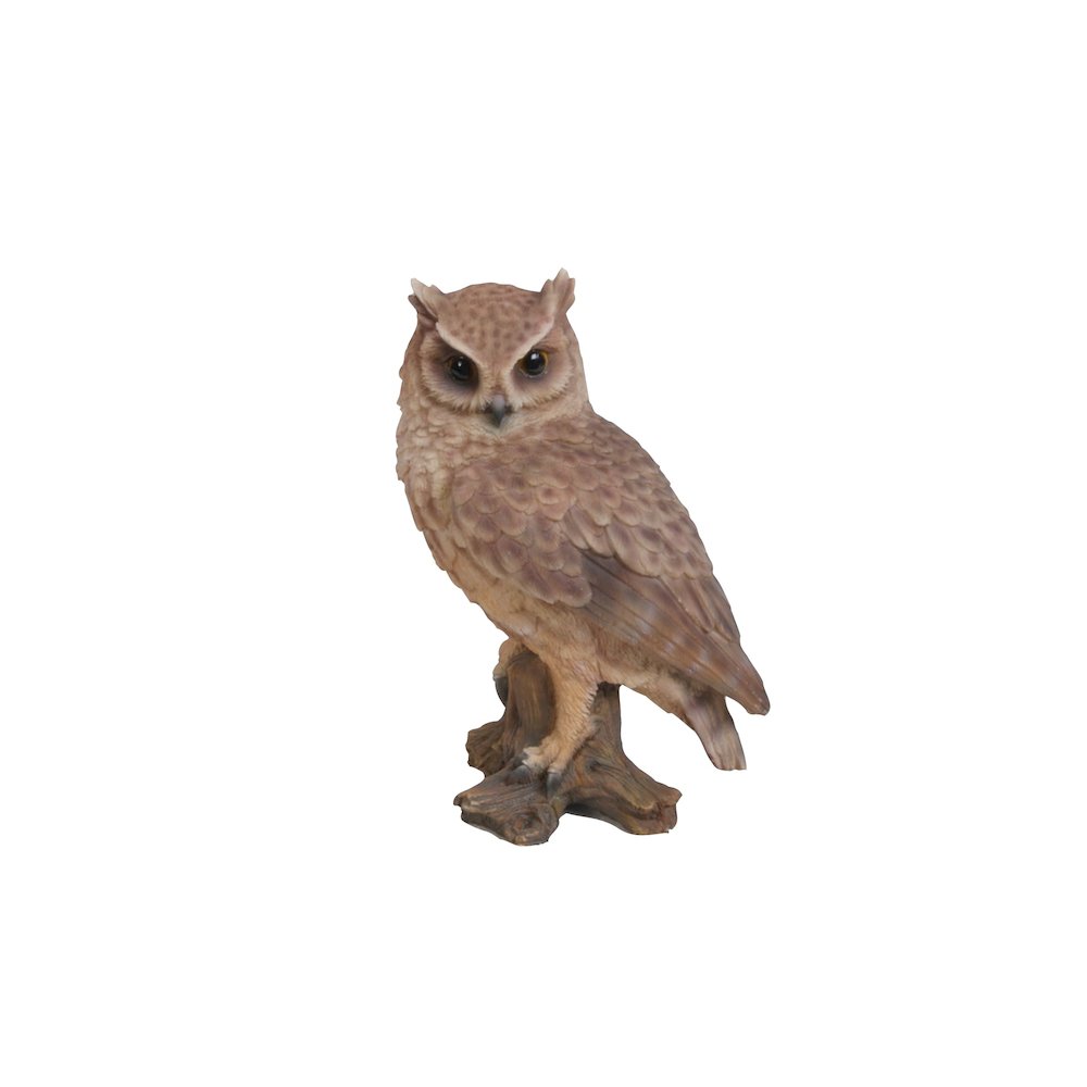 Small Screech Owl On Stump. Picture 2
