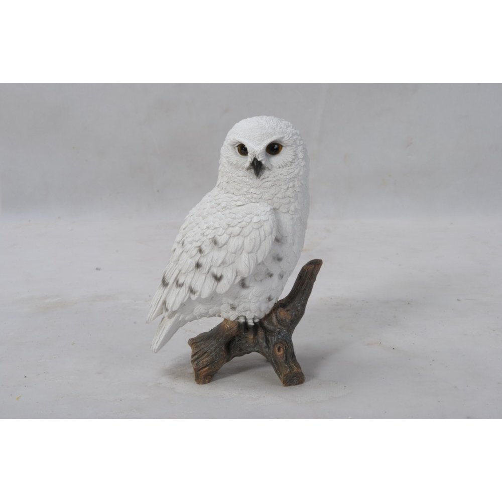 Small Snowy Owl On Stump. Picture 1