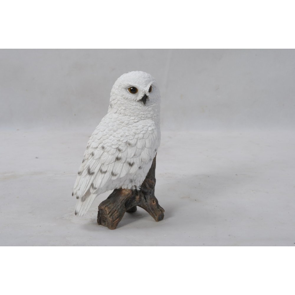 Small Snowy Owl On Stump. Picture 4