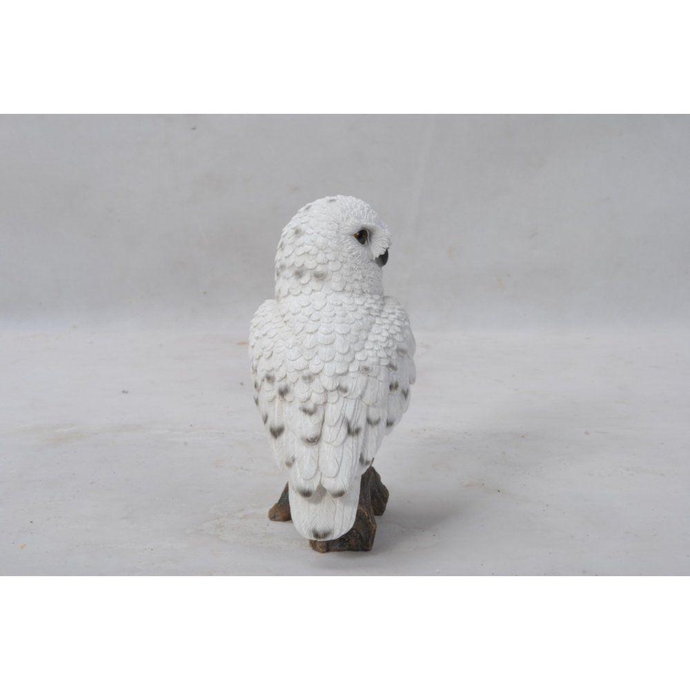 Small Snowy Owl On Stump. Picture 5