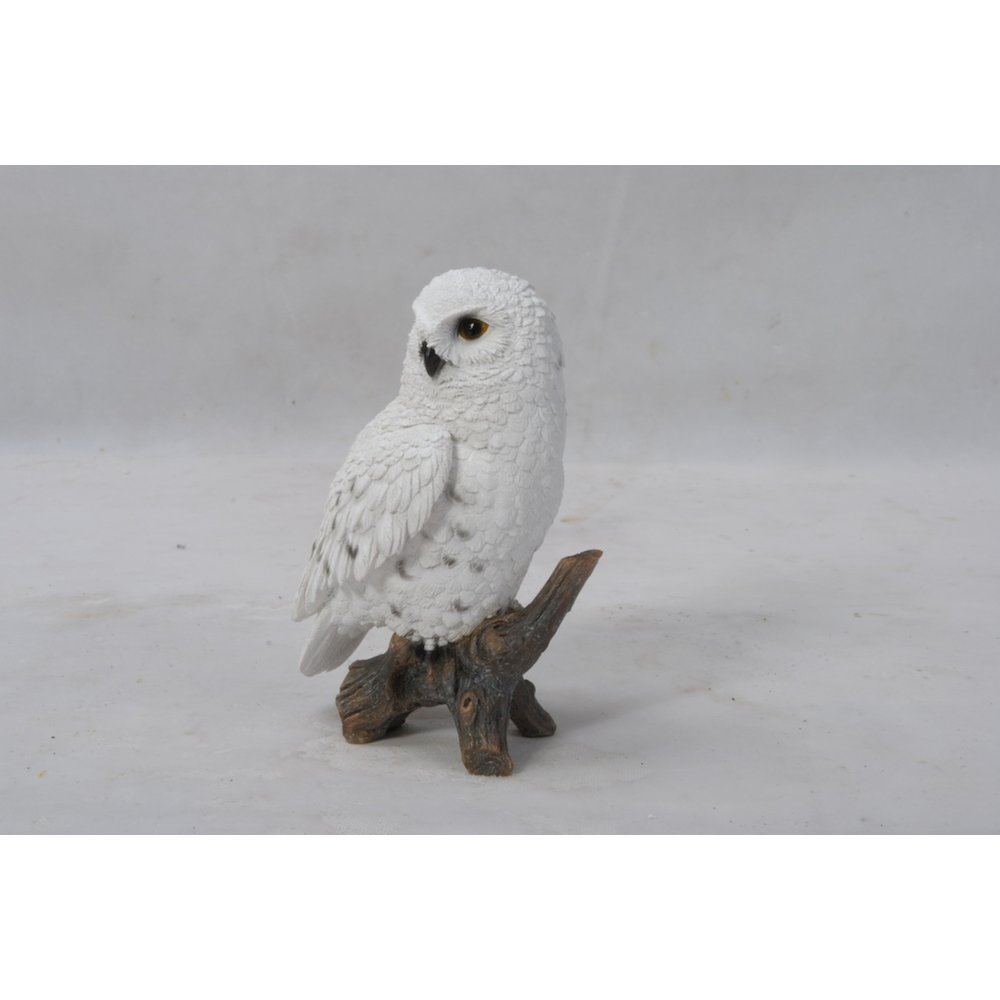 Small Snowy Owl On Stump. Picture 3