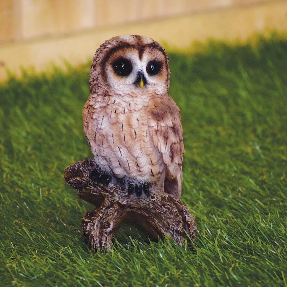 Small Tawny Owl On Stump. Picture 6
