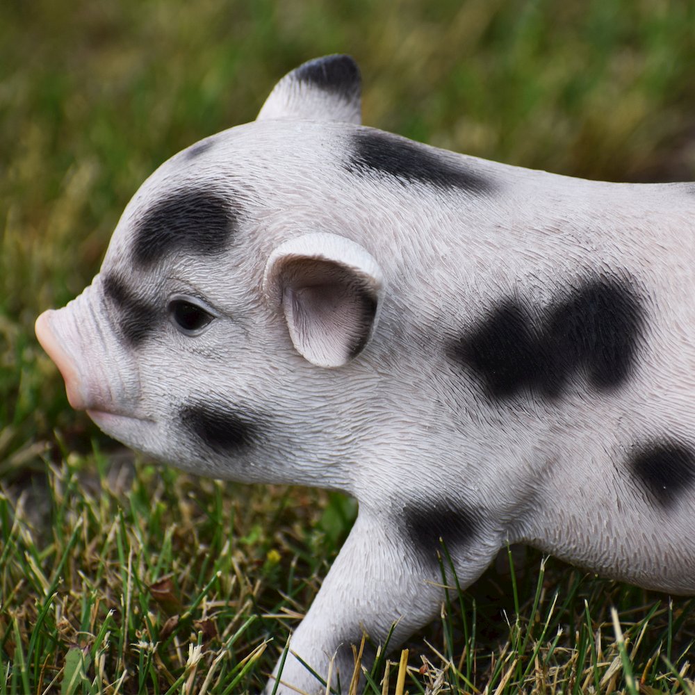 Standing Baby Pig W/Black Spots. Picture 5