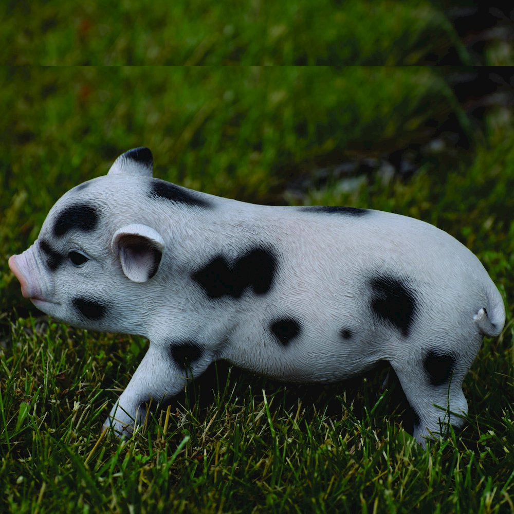 Standing Baby Pig W/Black Spots. Picture 6