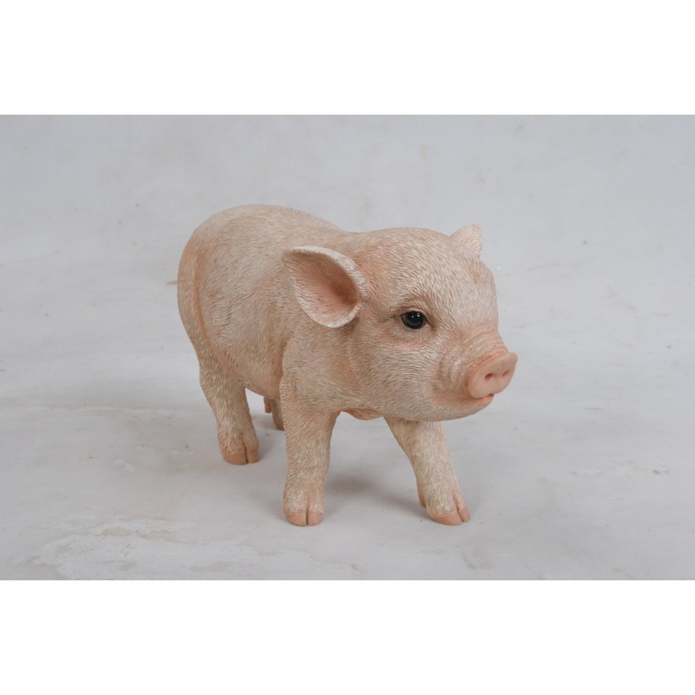 Standing Baby Pig. Picture 3
