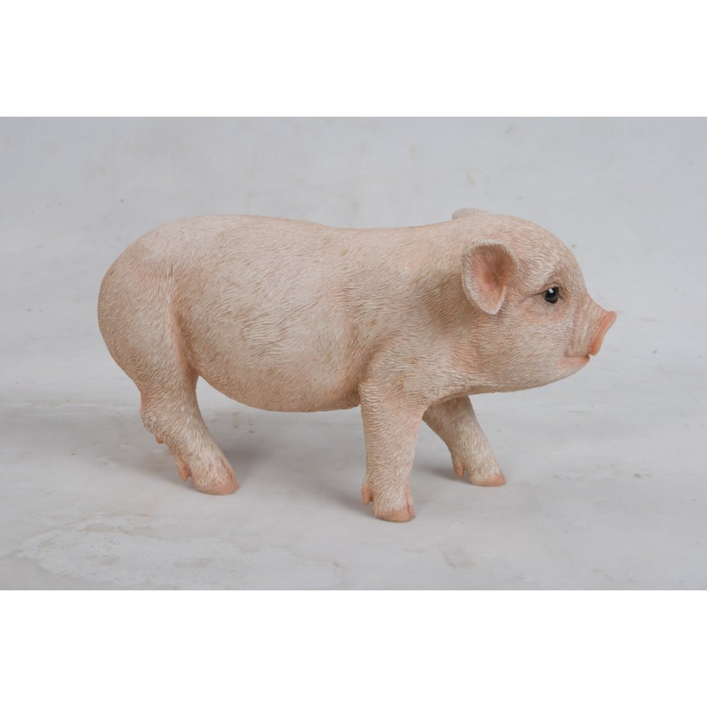 Standing Baby Pig. Picture 1