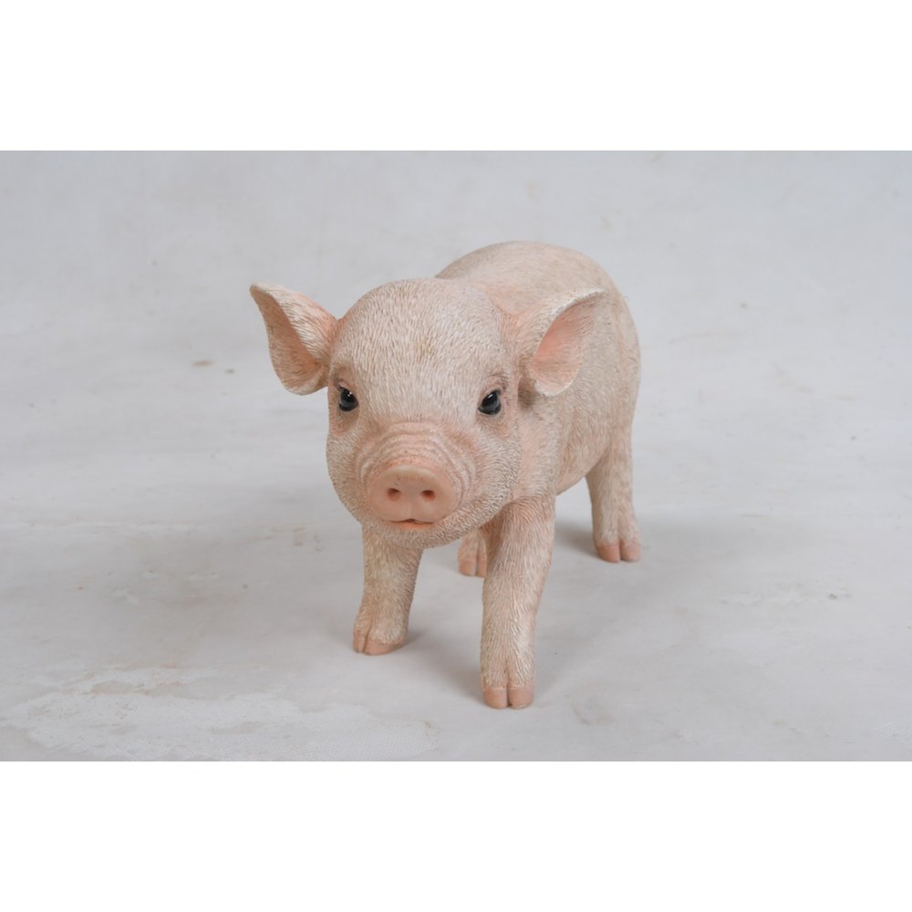 Standing Baby Pig. Picture 2