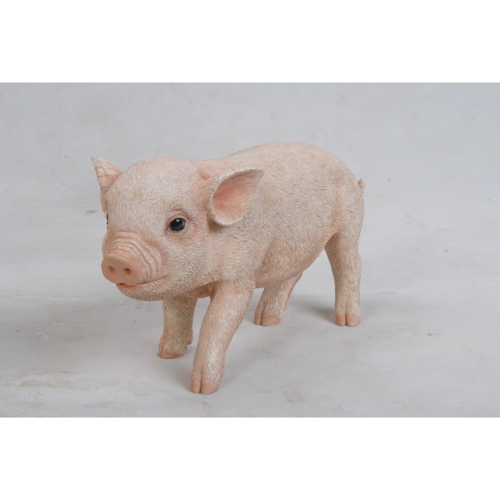 Standing Baby Pig. Picture 4