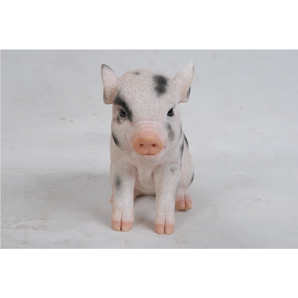 Sitting Baby Pig W/Black Spots. Picture 5