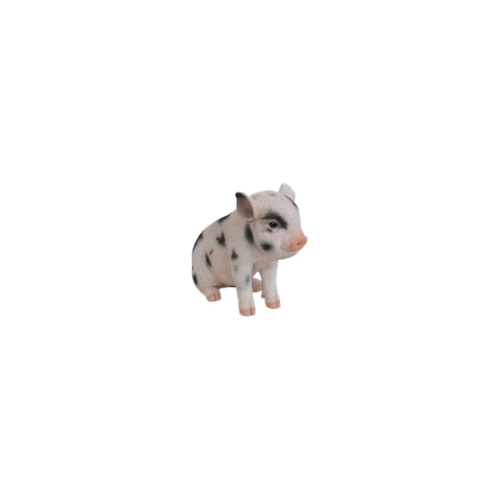 Sitting Baby Pig W/Black Spots. Picture 2