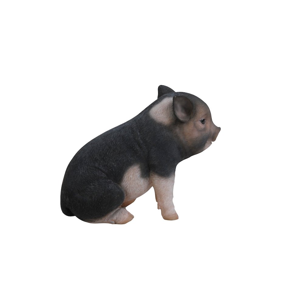 Sitting Baby Dark Brown. Picture 4