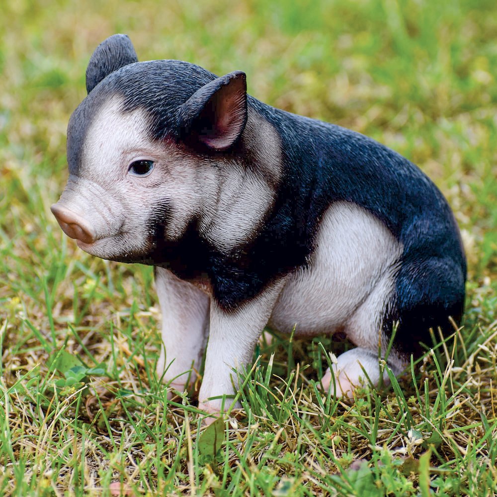 Sitting Baby Dark Brown. Picture 6