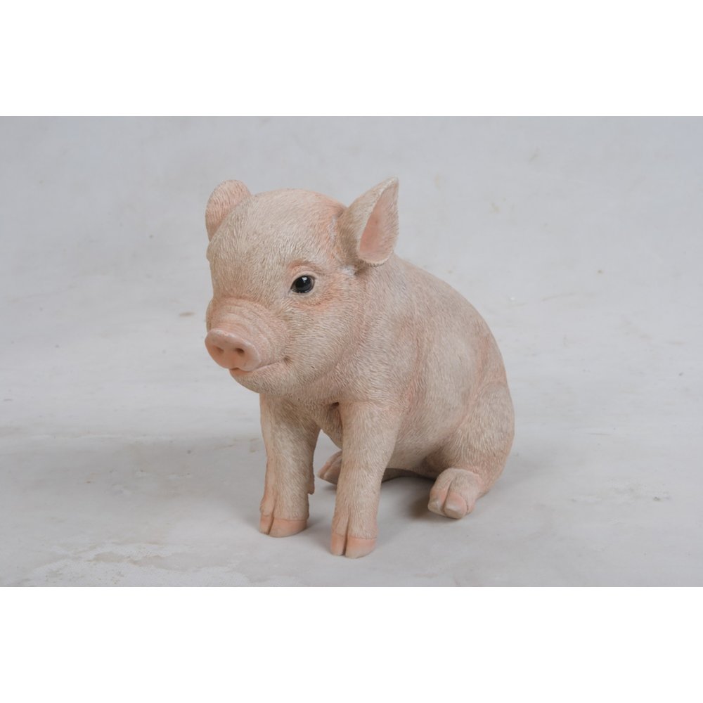 Sitting Baby Pig. Picture 3