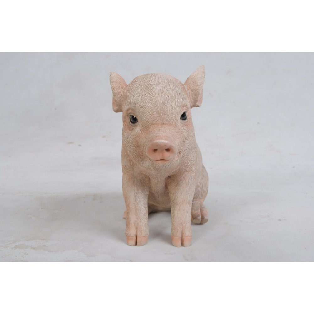 Sitting Baby Pig. Picture 2